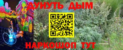 дурь Гай