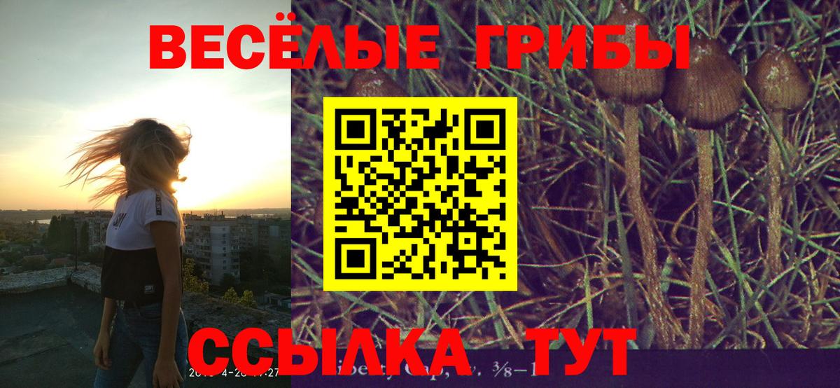 Псилоцибиновые грибы прущие грибы Можайск